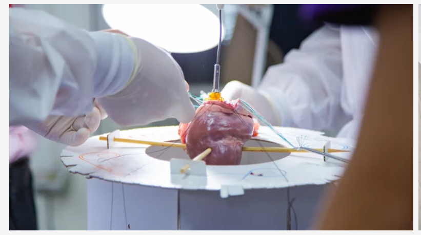 Best Cardiologist Near Me Ghatkopar Best Cardiologist Near Me Ghatkopar